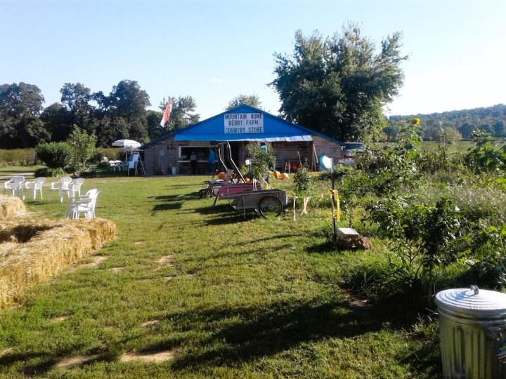 family-friendly farm in Arkansas