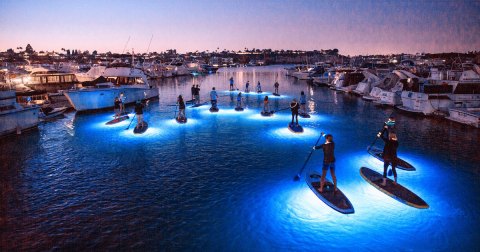 This Nighttime Paddling Adventure Under The Moon Belongs On Your Southern California Bucket List