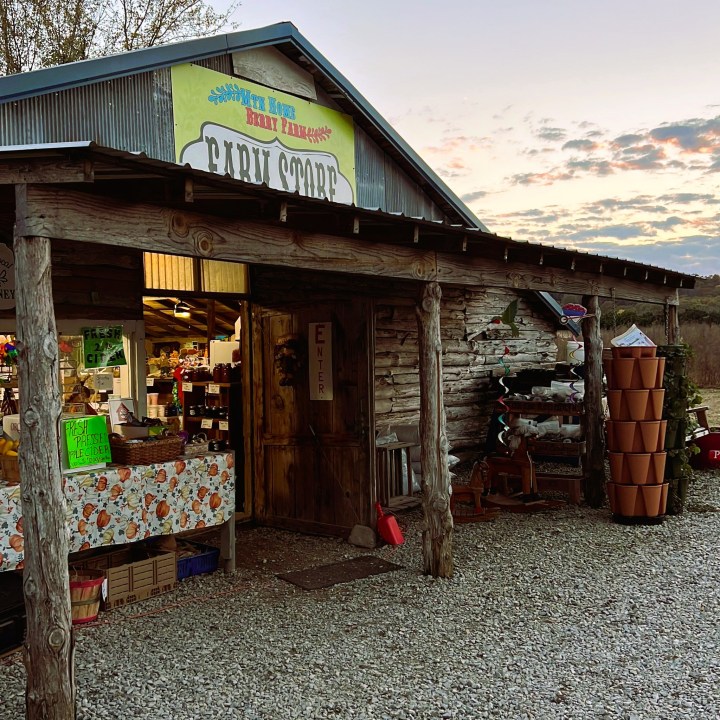 family-friendly farm in Arkansas