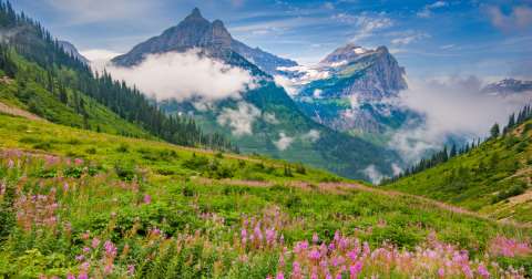 The Incredible Flower Road Trip Through Montana Is The Ultimate Spring Adventure