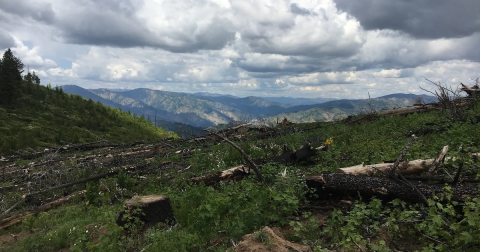 A Peaceful Escape Can Be Found Along This Year-Round Mountain Trail In Idaho