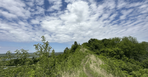 Explore 7,440 Acres Of Trails, Flora, and Fauna At Missouri's Otherworldly Loess Bluffs National Wildlife Refuge