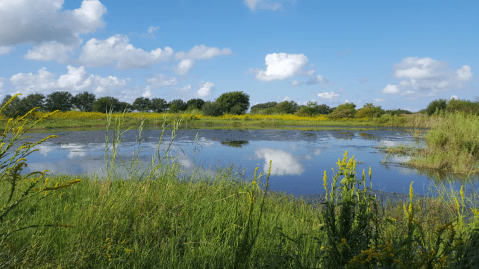 The Breathtaking Scenic Drive In Texas That Runs Through A National Wildlife Refuge