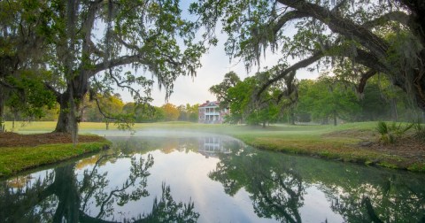 The Breathtaking Scenic Drive In South Carolina That Runs Parallel To The Ashley River