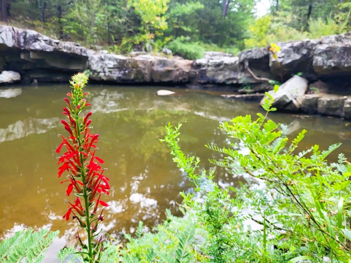 waterfall hike in Hartford