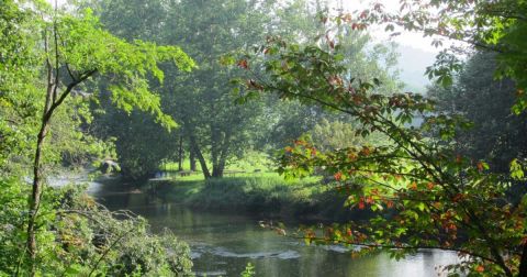 The Breathtaking Scenic Drive Through North Carolina That Celebrates The New River